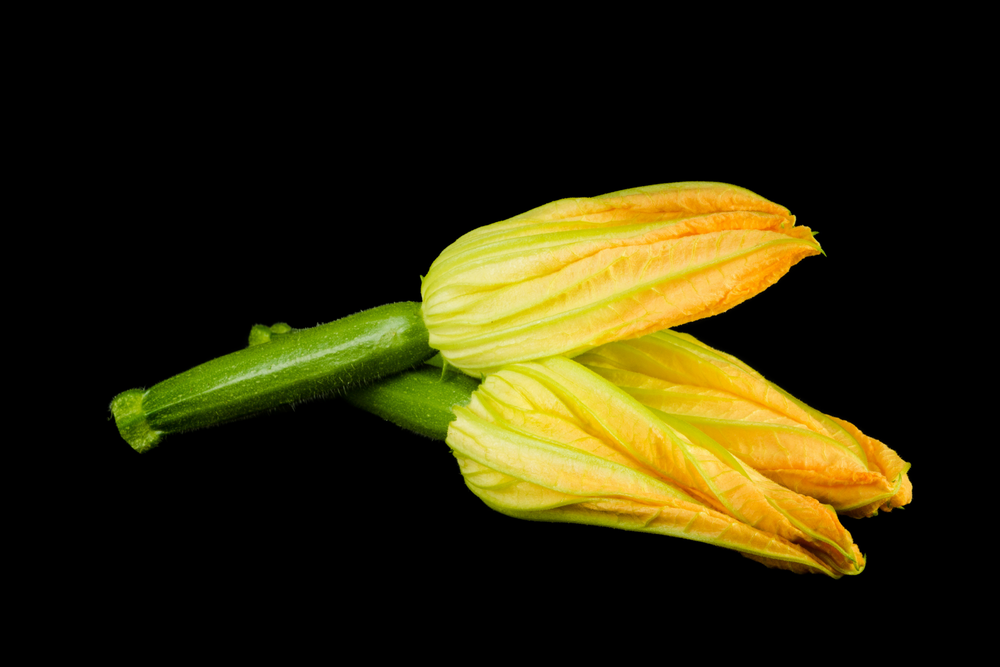 Mini-Légumes