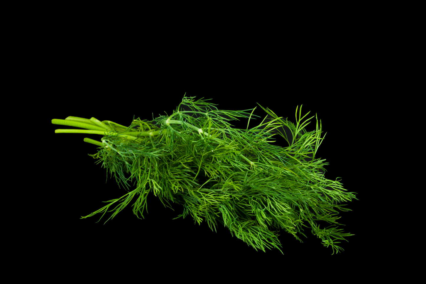 Herbes Aromatiques