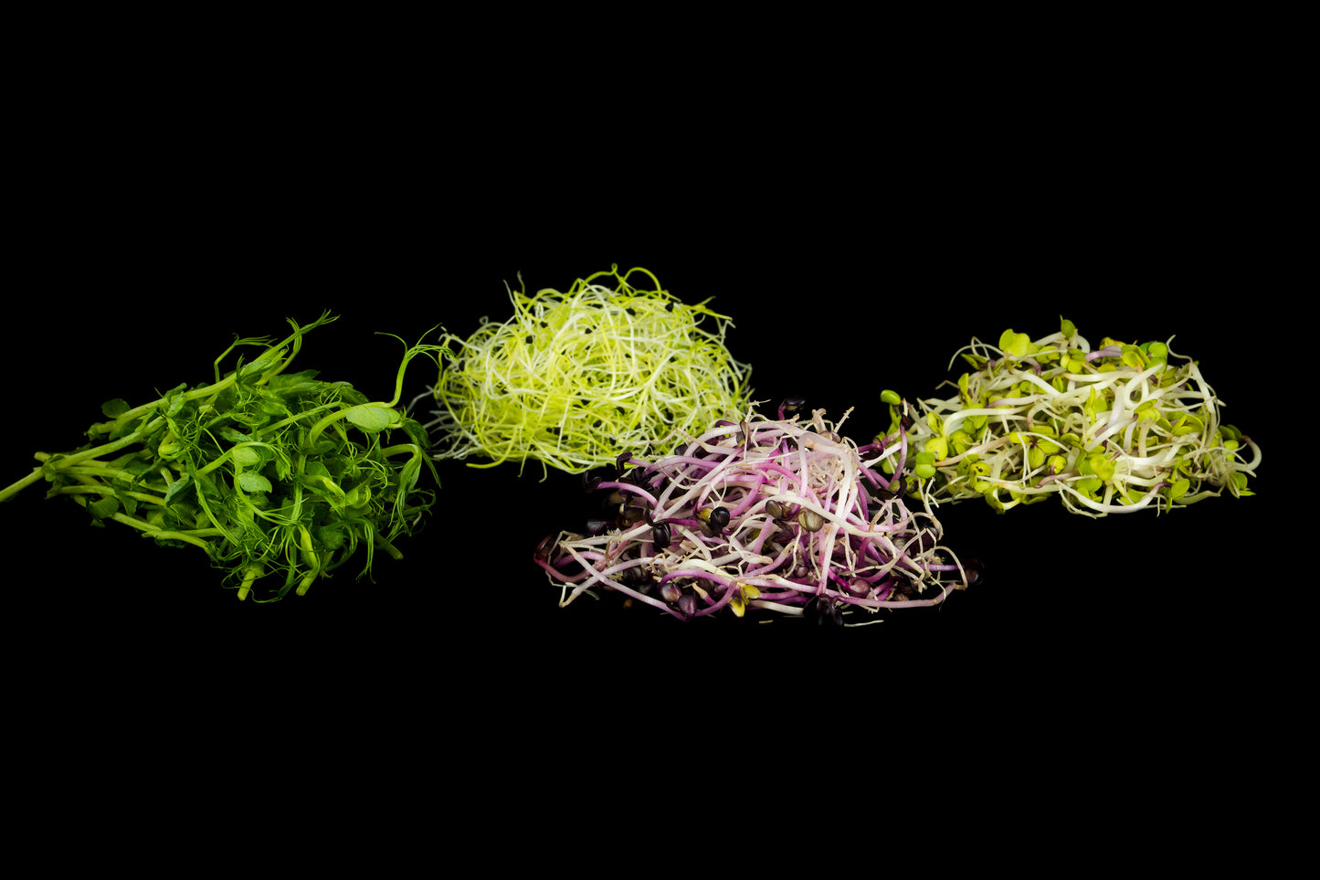 Sprouts