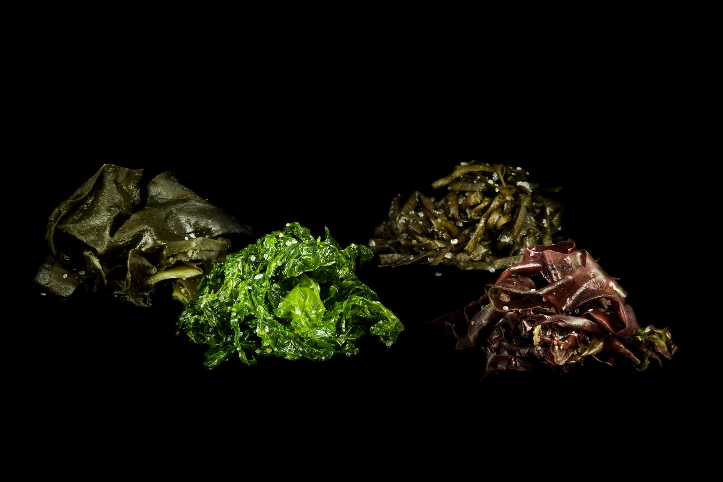Seaweed