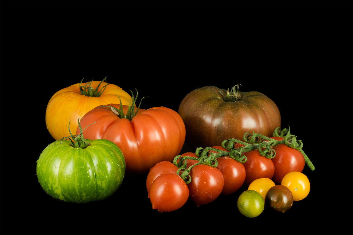 Tomatoes