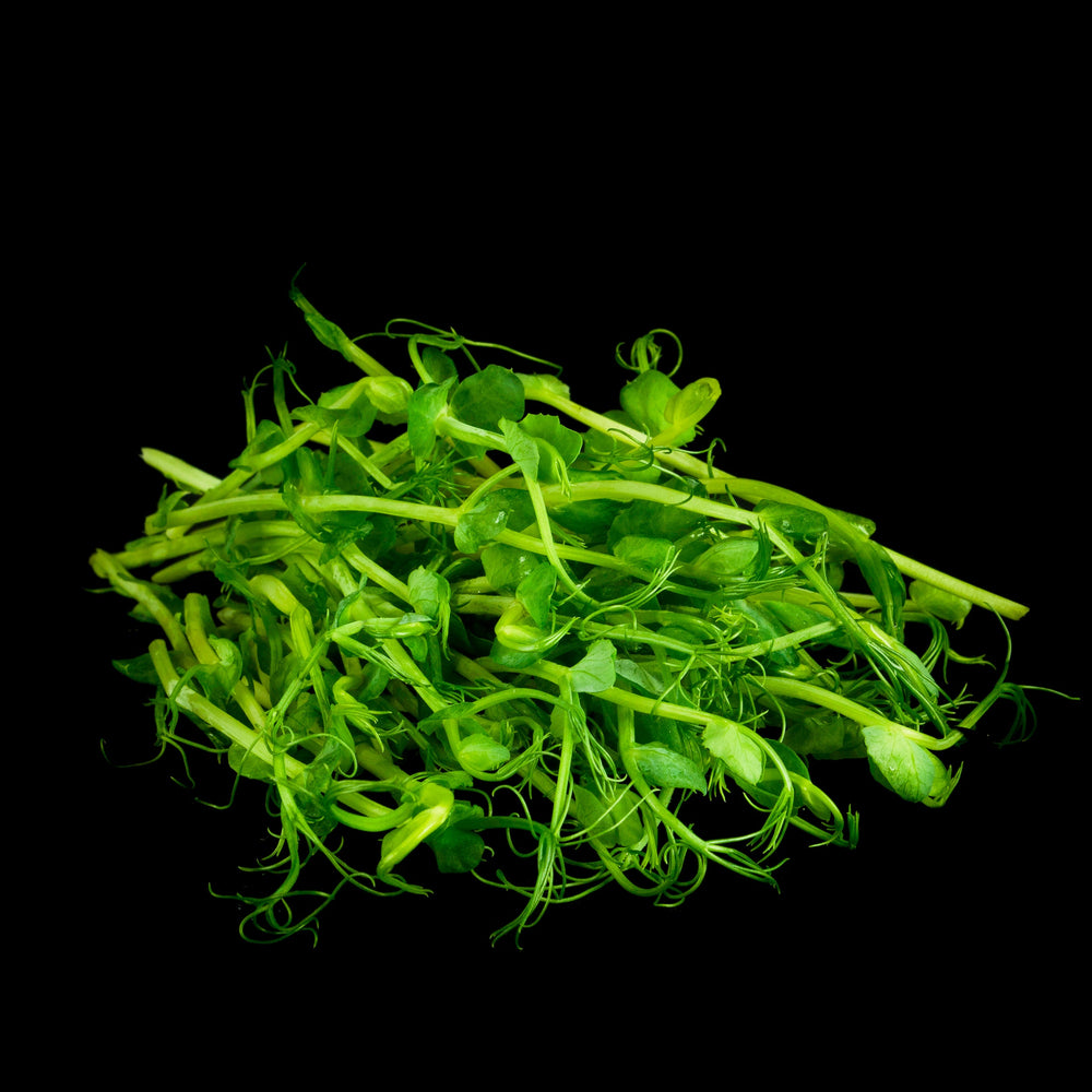 Green Pea Sprout
