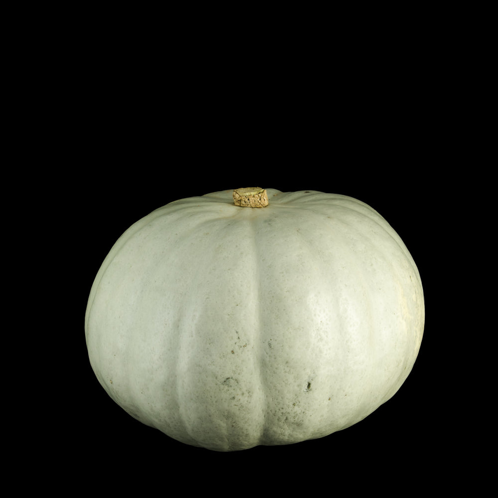 Potiron Bleu