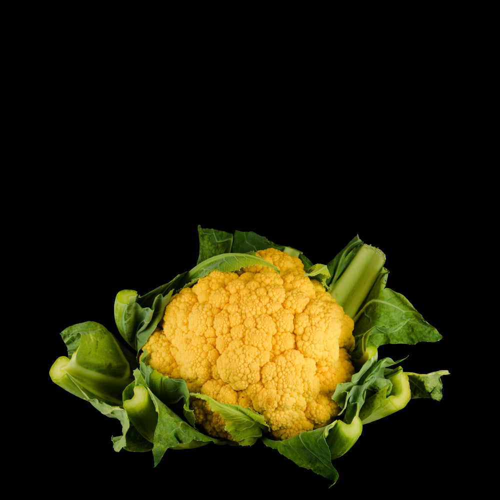 Cauliflower Yellow