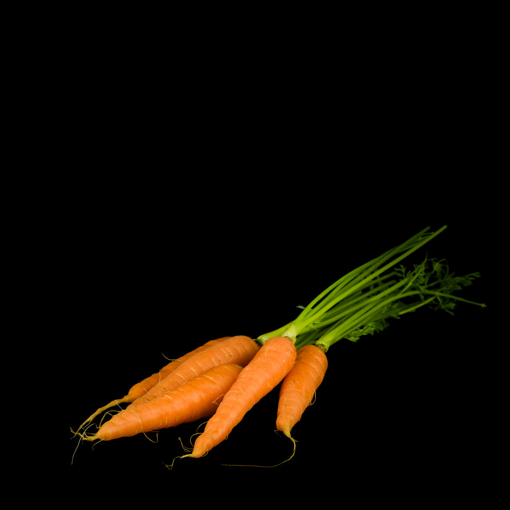 Mini Carrot Orange