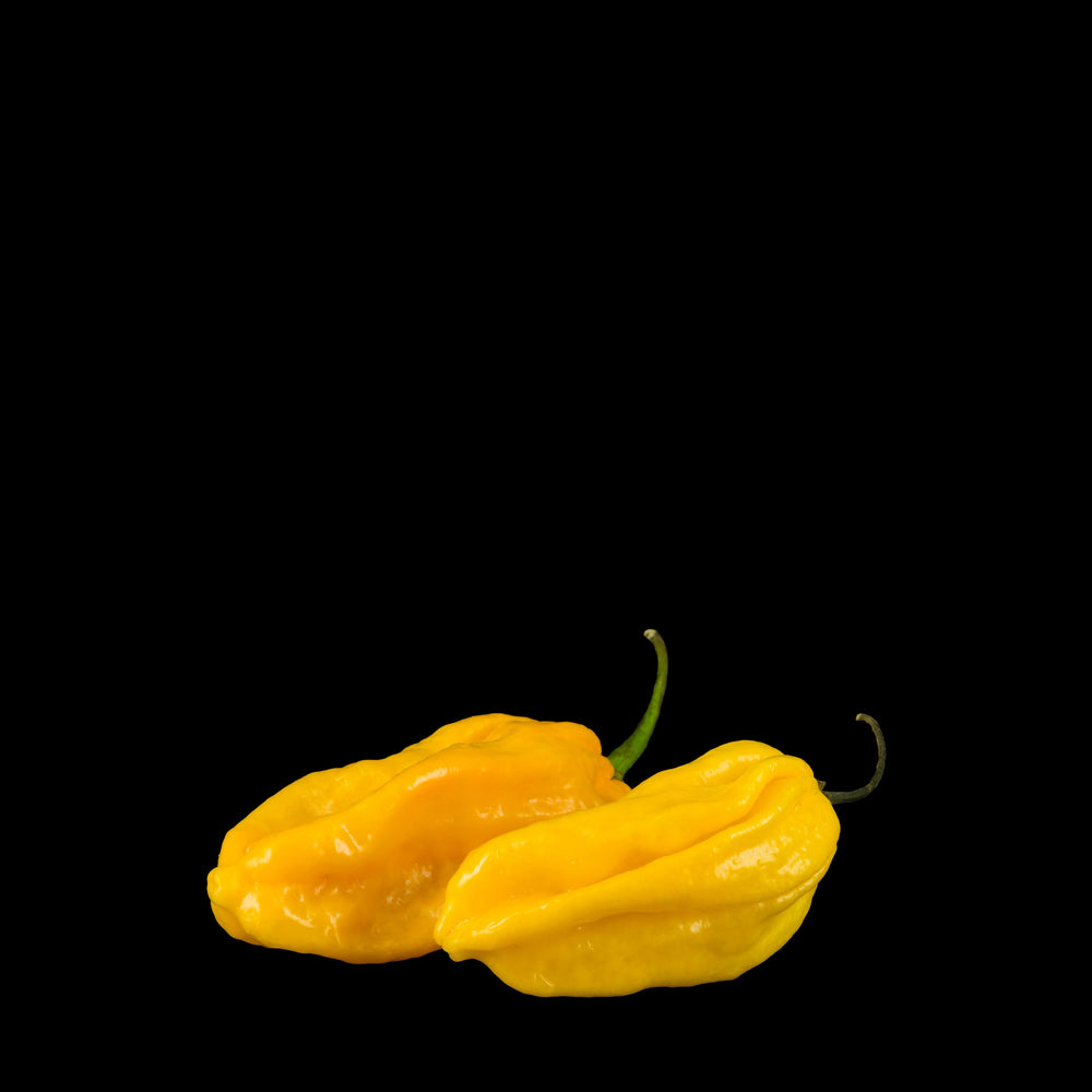 Yellow Habanero Pepper – Établissement Butet