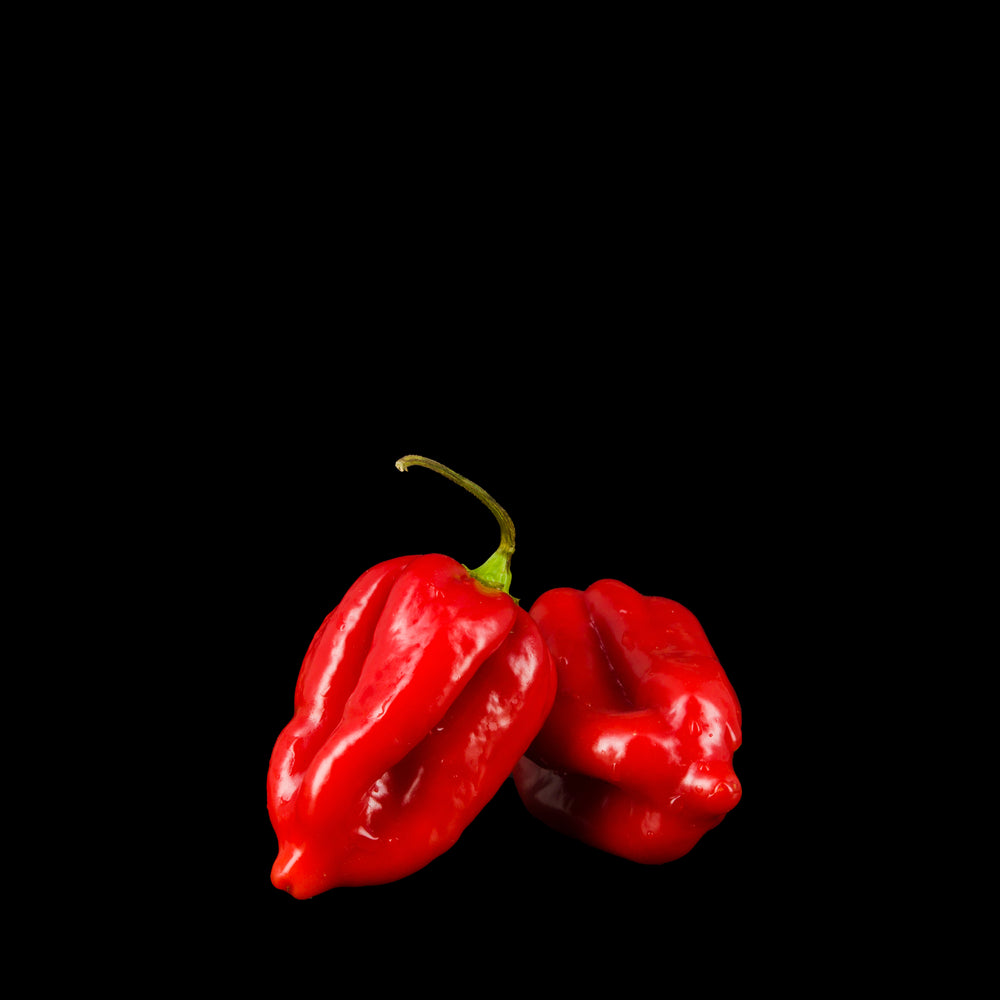 Red Habanero Pepper