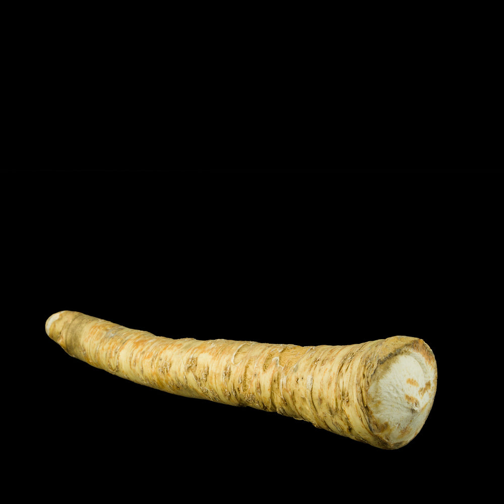 Horseradish