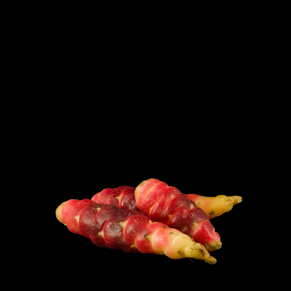 Oca of Peru