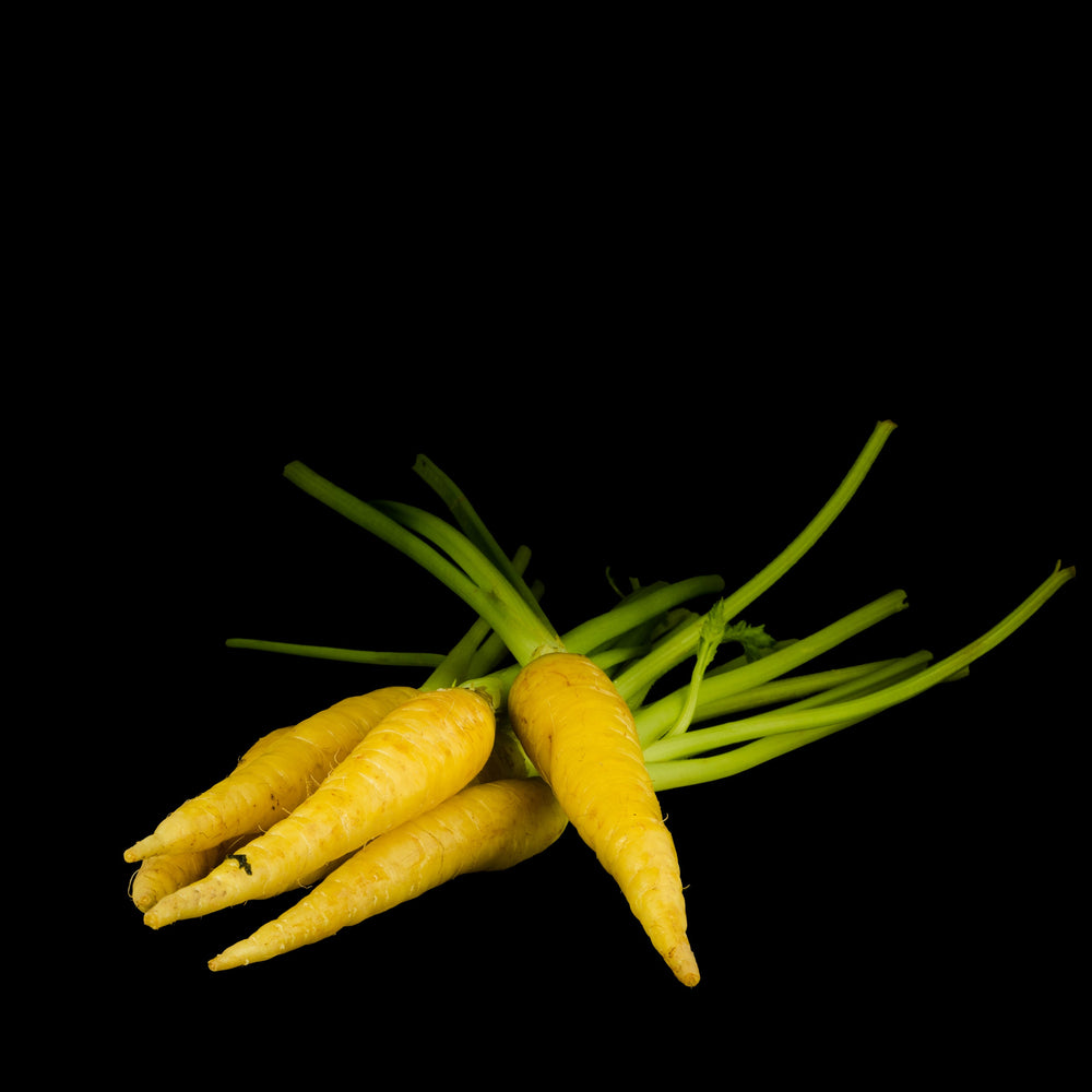 Mini Carrot Yellow Boot