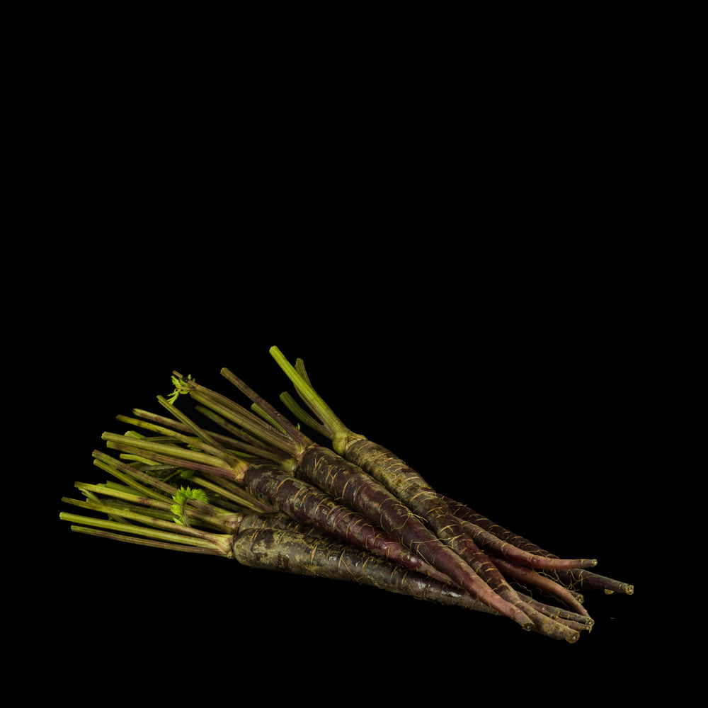 Mini Carrot Violet Boot