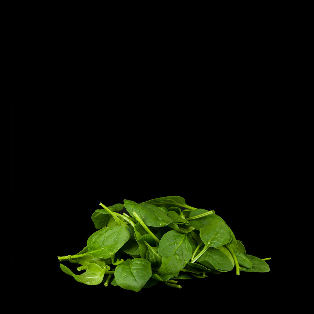 Baby spinach leaves