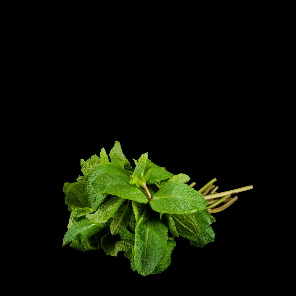 Menthe