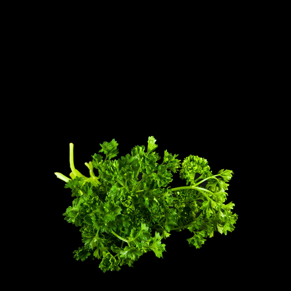 Flat parsley