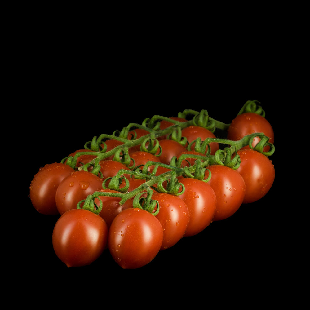 Lobello Tomato 